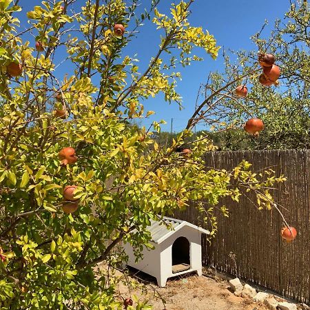 Guest House Alfarrobeiras Albufeira Exterior foto